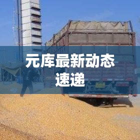 元庫最新動態(tài)速遞