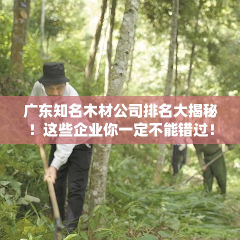 廣東知名木材公司排名大揭秘！這些企業(yè)你一定不能錯(cuò)過(guò)！