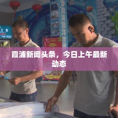 霞浦新聞頭條，今日上午最新動態(tài)