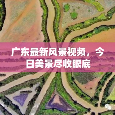 廣東最新風(fēng)景視頻，今日美景盡收眼底