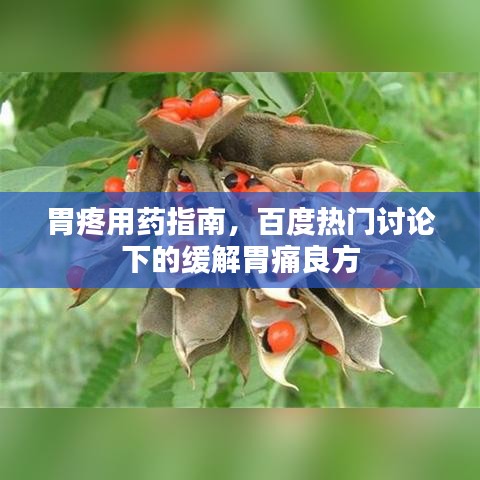 胃疼用藥指南，百度熱門討論下的緩解胃痛良方