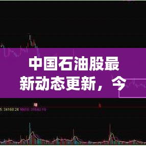 中國(guó)石油股最新動(dòng)態(tài)更新，今日消息一覽
