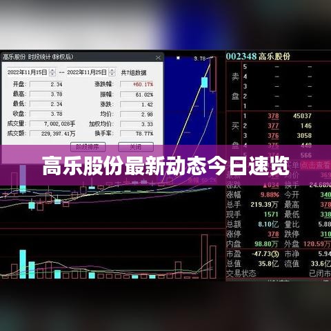 高樂股份最新動態(tài)今日速覽