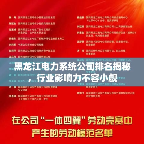 黑龍江電力系統(tǒng)公司排名揭秘，行業(yè)影響力不容小覷