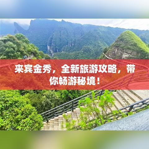 來賓金秀，全新旅游攻略，帶你暢游秘境！