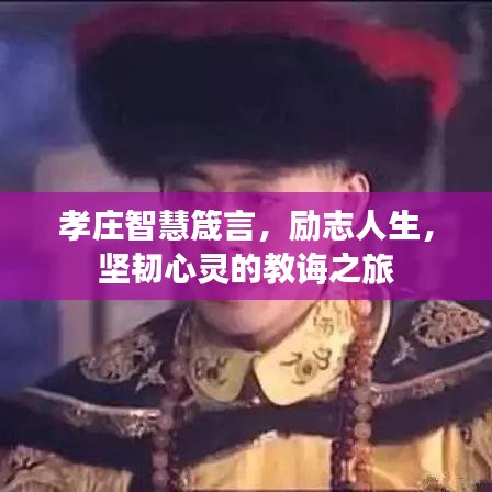 孝莊智慧箴言，勵志人生，堅韌心靈的教誨之旅