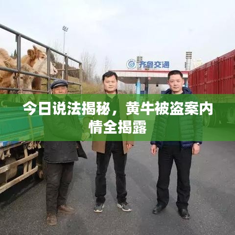 夫榮妻貴 第2頁
