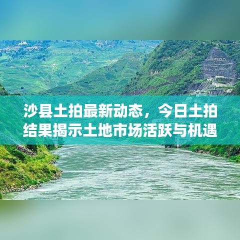 沙縣土拍最新動態(tài)，今日土拍結(jié)果揭示土地市場活躍與機遇