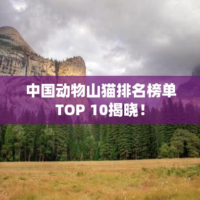 中國動物山貓排名榜單TOP 10揭曉！