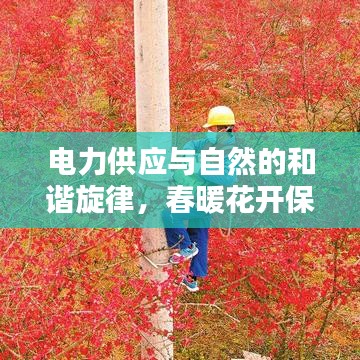 電力供應與自然的和諧旋律，春暖花開保障電力不斷供應