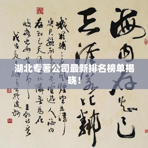 湖北專(zhuān)著公司最新排名榜單揭曉！