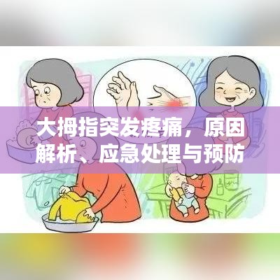 大拇指突發(fā)疼痛，原因解析、應(yīng)急處理與預(yù)防方法