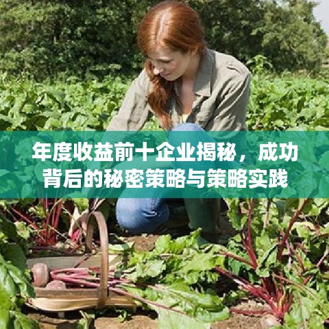 年度收益前十企業(yè)揭秘，成功背后的秘密策略與策略實踐