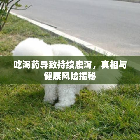 吃瀉藥導致持續(xù)腹瀉，真相與健康風險揭秘