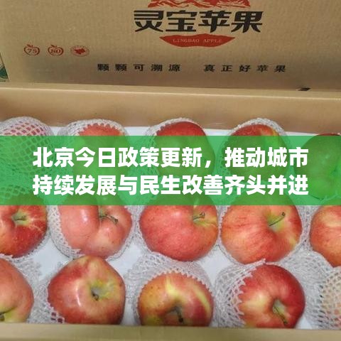 北京今日政策更新，推動城市持續(xù)發(fā)展與民生改善齊頭并進