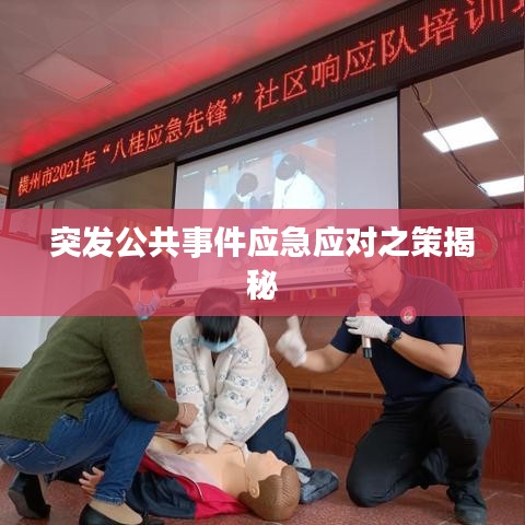 突發(fā)公共事件應(yīng)急應(yīng)對(duì)之策揭秘