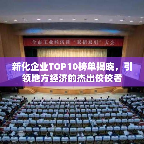 新化企業(yè)TOP10榜單揭曉，引領(lǐng)地方經(jīng)濟(jì)的杰出佼佼者