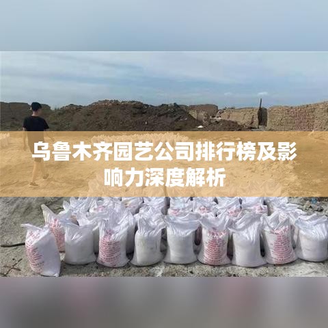烏魯木齊園藝公司排行榜及影響力深度解析