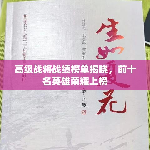 高級(jí)戰(zhàn)將戰(zhàn)績(jī)榜單揭曉，前十名英雄榮耀上榜