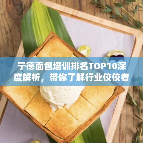 寧德面包培訓(xùn)排名TOP10深度解析，帶你了解行業(yè)佼佼者