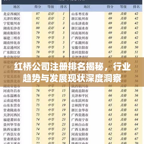 紅橋公司注冊排名揭秘，行業(yè)趨勢與發(fā)展現(xiàn)狀深度洞察