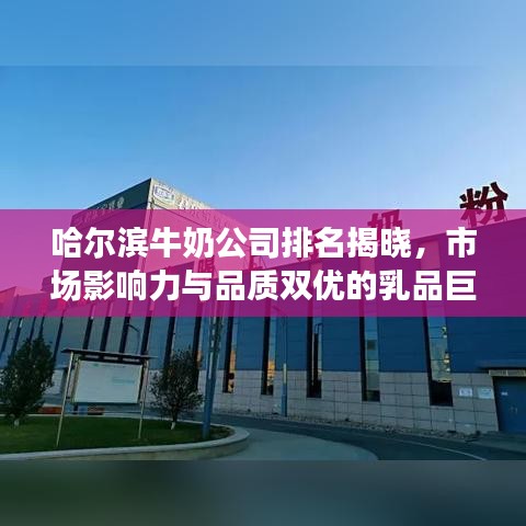 哈爾濱牛奶公司排名揭曉，市場影響力與品質(zhì)雙優(yōu)的乳品巨頭榜單