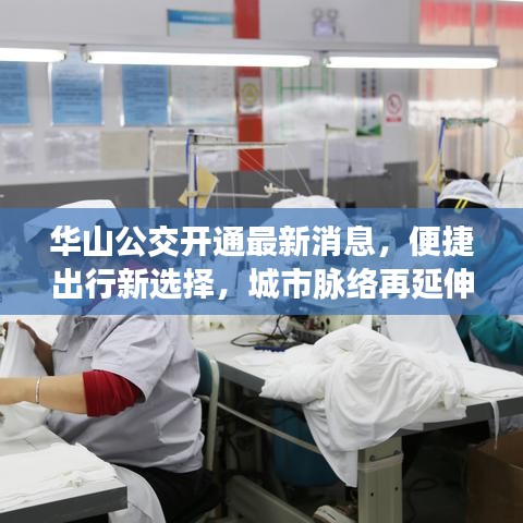 華山公交開通最新消息，便捷出行新選擇，城市脈絡(luò)再延伸