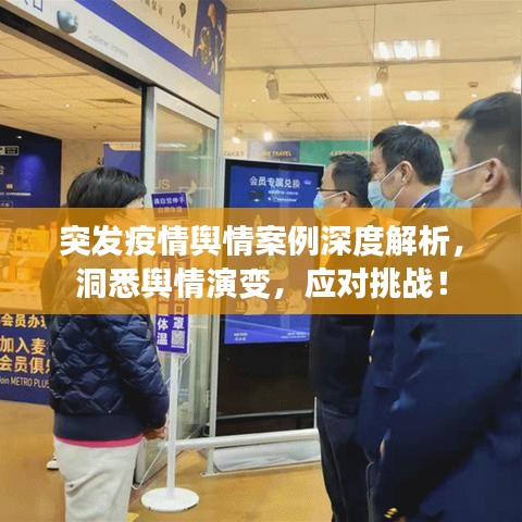 樸素?zé)o華 第2頁
