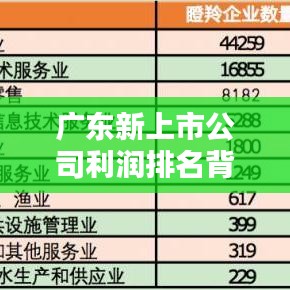 廣東新上市公司利潤排名背后的投資機遇與挑戰(zhàn)揭秘