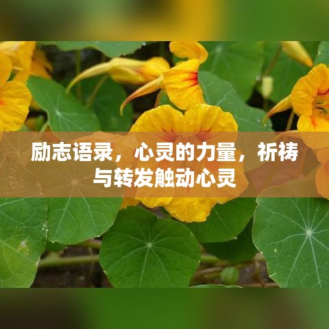 勵(lì)志語(yǔ)錄，心靈的力量，祈禱與轉(zhuǎn)發(fā)觸動(dòng)心靈