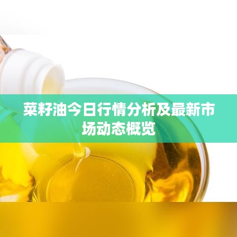 菜籽油今日行情分析及最新市場動態(tài)概覽