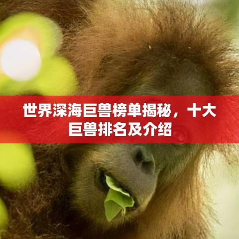 世界深海巨獸榜單揭秘，十大巨獸排名及介紹