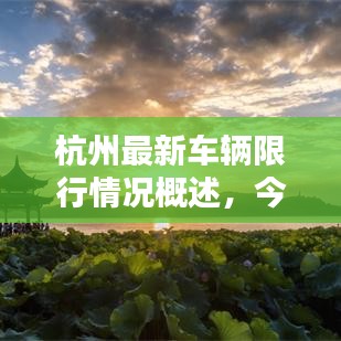 杭州最新車輛限行情況概述，今日是否限行？