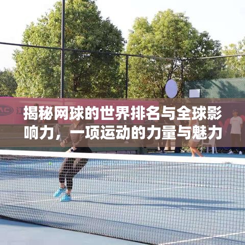 揭秘網(wǎng)球的世界排名與全球影響力，一項(xiàng)運(yùn)動(dòng)的力量與魅力