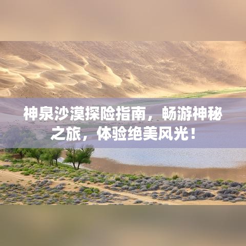 神泉沙漠探險(xiǎn)指南，暢游神秘之旅，體驗(yàn)絕美風(fēng)光！