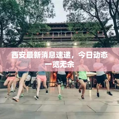 西安最新消息速遞，今日動態(tài)一覽無余