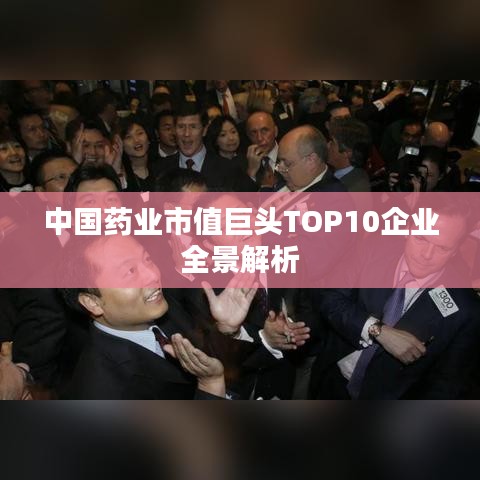 中國(guó)藥業(yè)市值巨頭TOP10企業(yè)全景解析