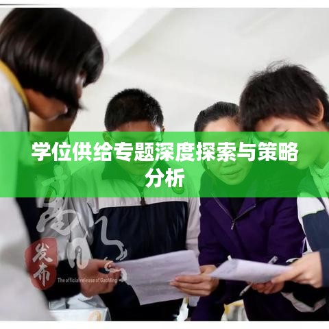 學(xué)位供給專題深度探索與策略分析