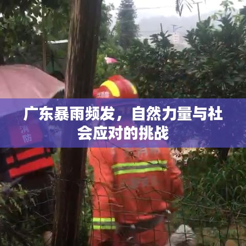 按部就班 第2頁