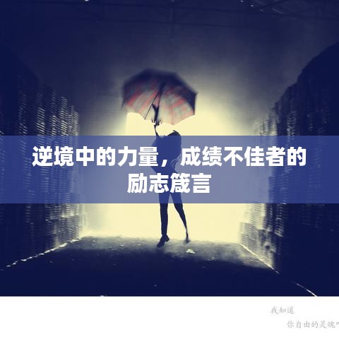 逆境中的力量，成績(jī)不佳者的勵(lì)志箴言