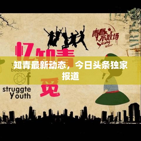 知青最新動態(tài)，今日頭條獨家報道