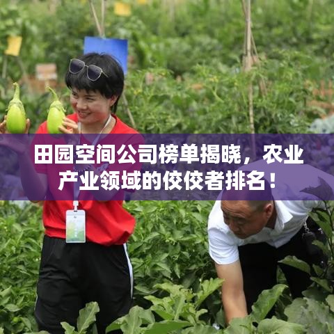 田園空間公司榜單揭曉，農(nóng)業(yè)產(chǎn)業(yè)領(lǐng)域的佼佼者排名！