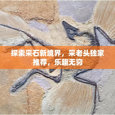 探索采石新境界，采老頭獨家推薦，樂趣無窮