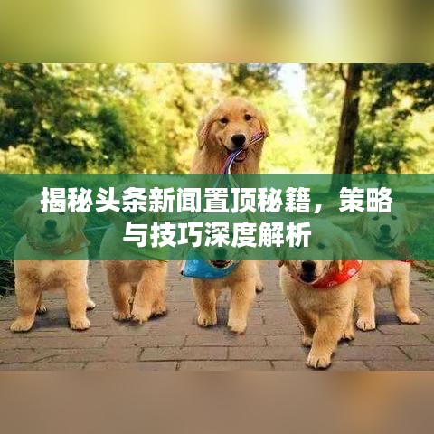 揭秘頭條新聞置頂秘籍，策略與技巧深度解析