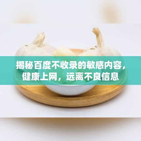 揭秘百度不收錄的敏感內容，健康上網，遠離不良信息