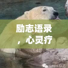 勵(lì)志語(yǔ)錄，心靈療愈的力量源泉，傷心時(shí)的溫暖安慰