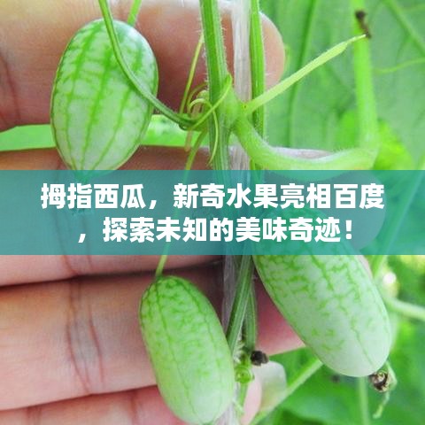 勤學(xué)苦練 第2頁