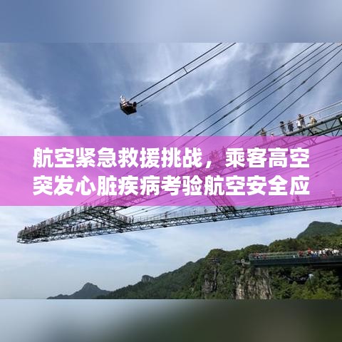 航空緊急救援挑戰(zhàn)，乘客高空突發(fā)心臟疾病考驗航空安全應(yīng)對能力