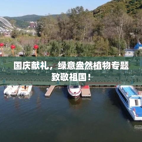 國慶獻禮，綠意盎然植物專題致敬祖國！