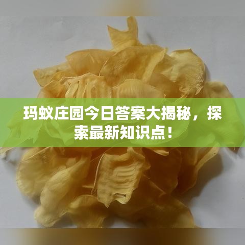 瑪蟻莊園今日答案大揭秘，探索最新知識點！